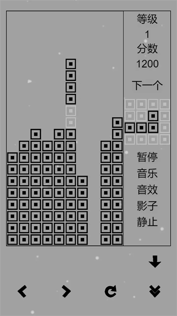 经典俄罗斯方块黑白版截图3