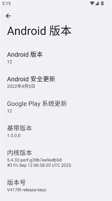 开发者选项截图1