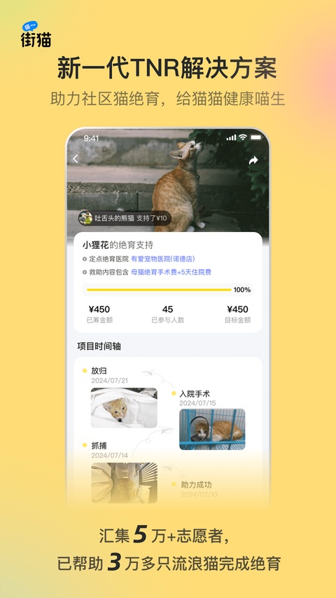 哈啰街猫截图4
