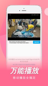 日剧TV投屏截图4