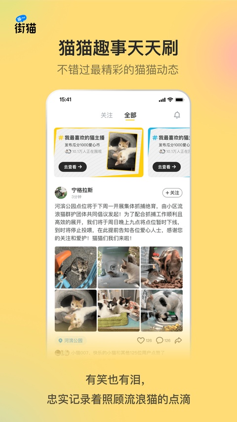 哈啰街猫截图2