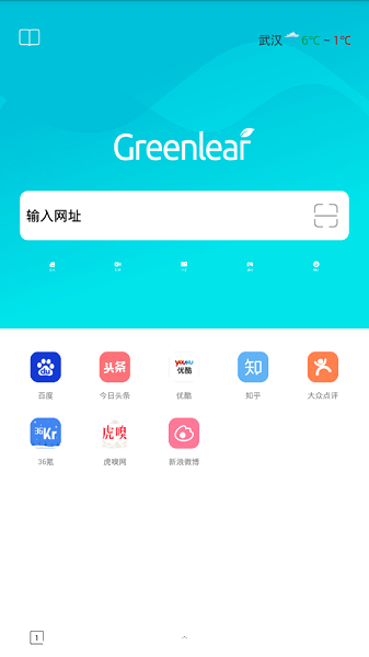 绿叶浏览器app截图2