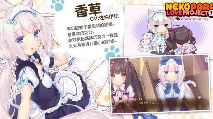 猫娘乐园截图1