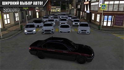 高加索停车场(Caucasus Parking)截图3