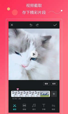 快视频app安卓版截图2