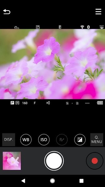 Panasonic Lumix Syn截图3