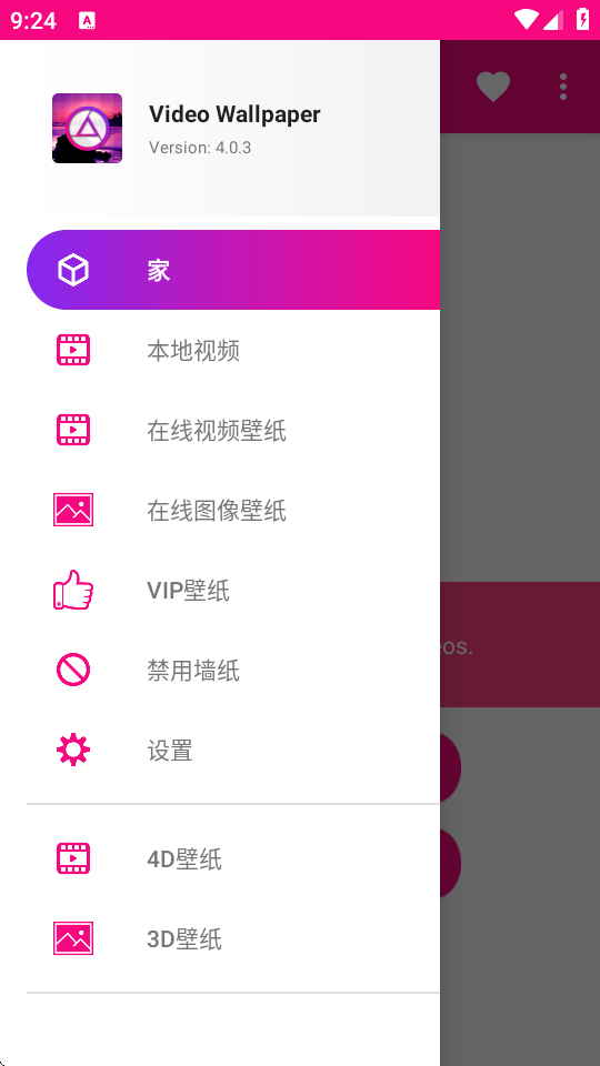 Video Wallpaper壁纸截图1