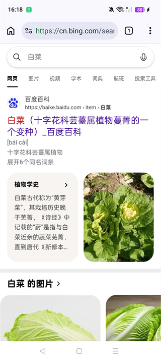 Cromite浏览器截图3