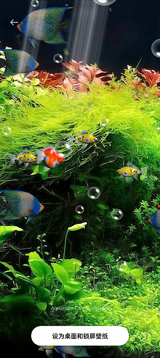 水族馆动态壁纸截图1