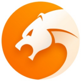 猎豹浏览器app