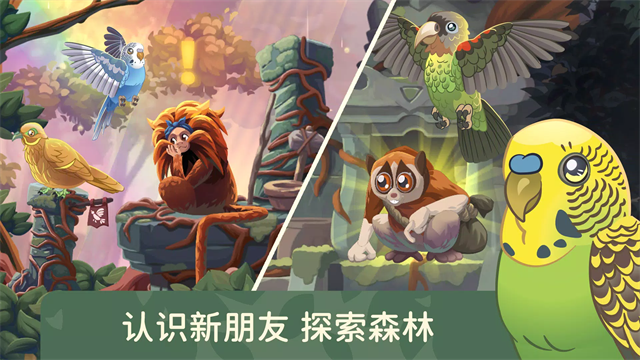 鸟类世界（ Bird Kind）截图3