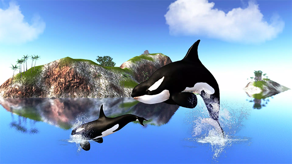 虎鲸模拟器(The Killer Whale)截图2