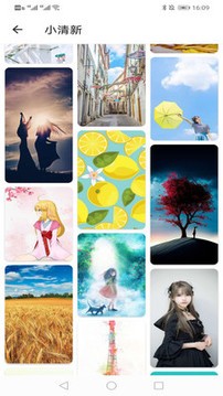 花样壁纸截图2
