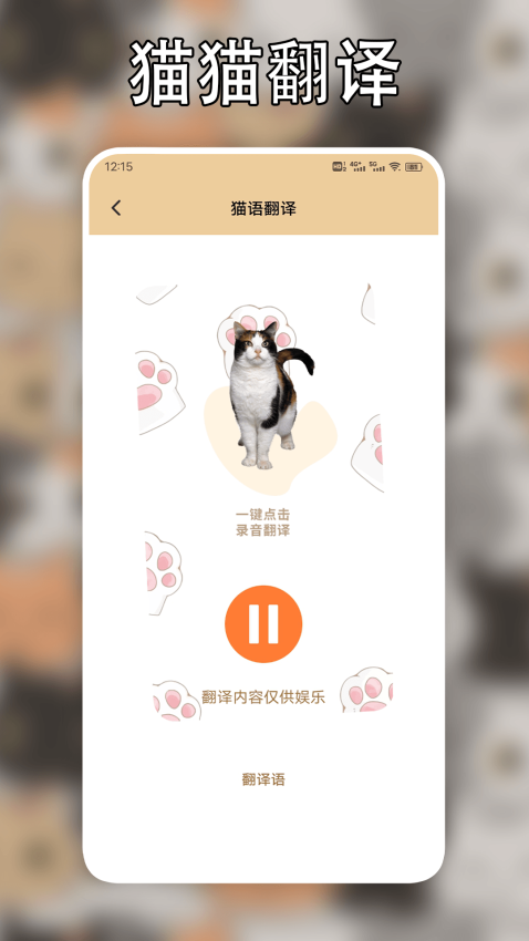 遇见我的猫截图2