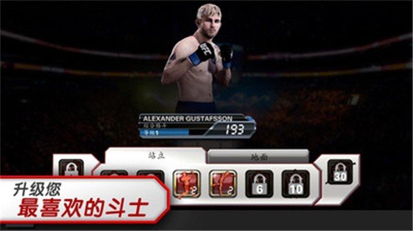 UFC终极格斗冠军赛截图1