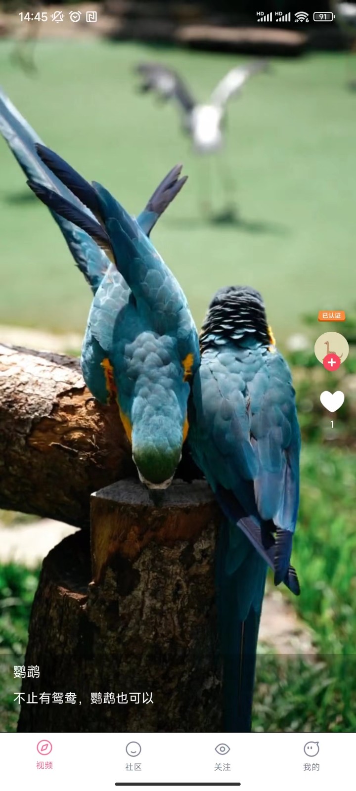 花卷短视频截图2
