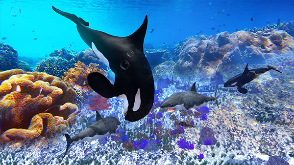 虎鲸模拟器(The Killer Whale)截图1