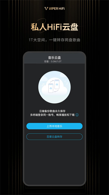 VIPER HiFi截图1