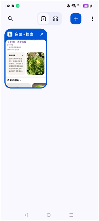 Cromite浏览器截图1