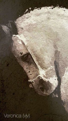 Glaze油画滤镜app截图3