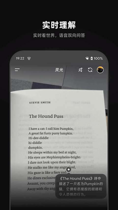 灵光截图1