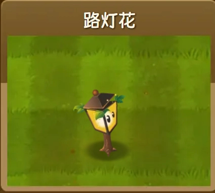 植物大全配图9