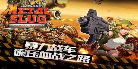 相关图片