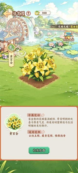 解忧花店红包版