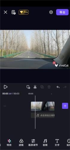 VivaCut2