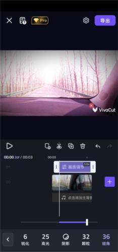 VivaCut4
