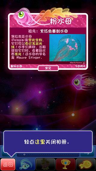 罕见鱼攻略配图7