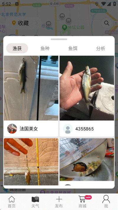 渔获潮汐天气预报