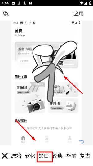 fansly相机app下载