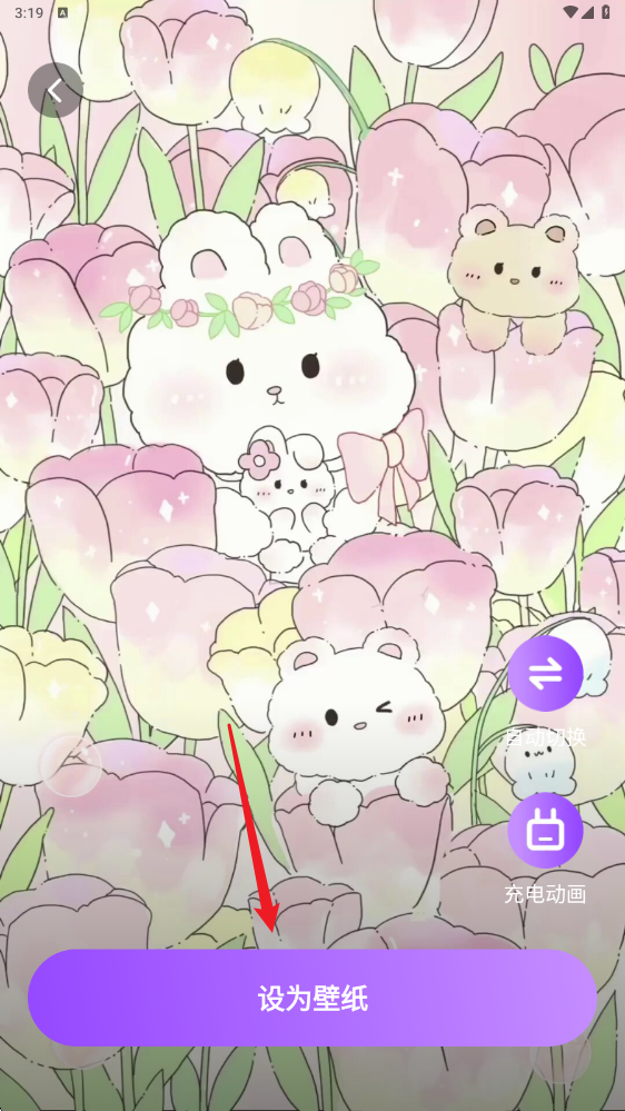 星遇动态桌面