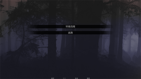 无处可藏官方正版