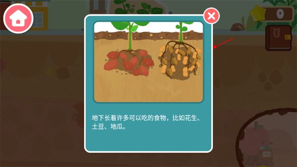 宝宝巴士奇妙地下王国