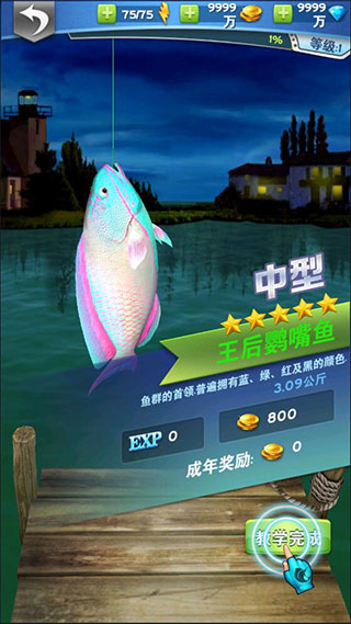 全民钓鱼28