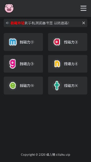 BT磁力猪