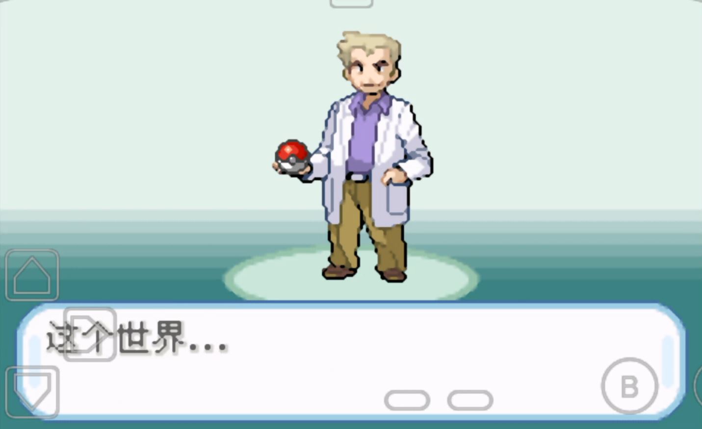 口袋妖怪圣灰汉化版
