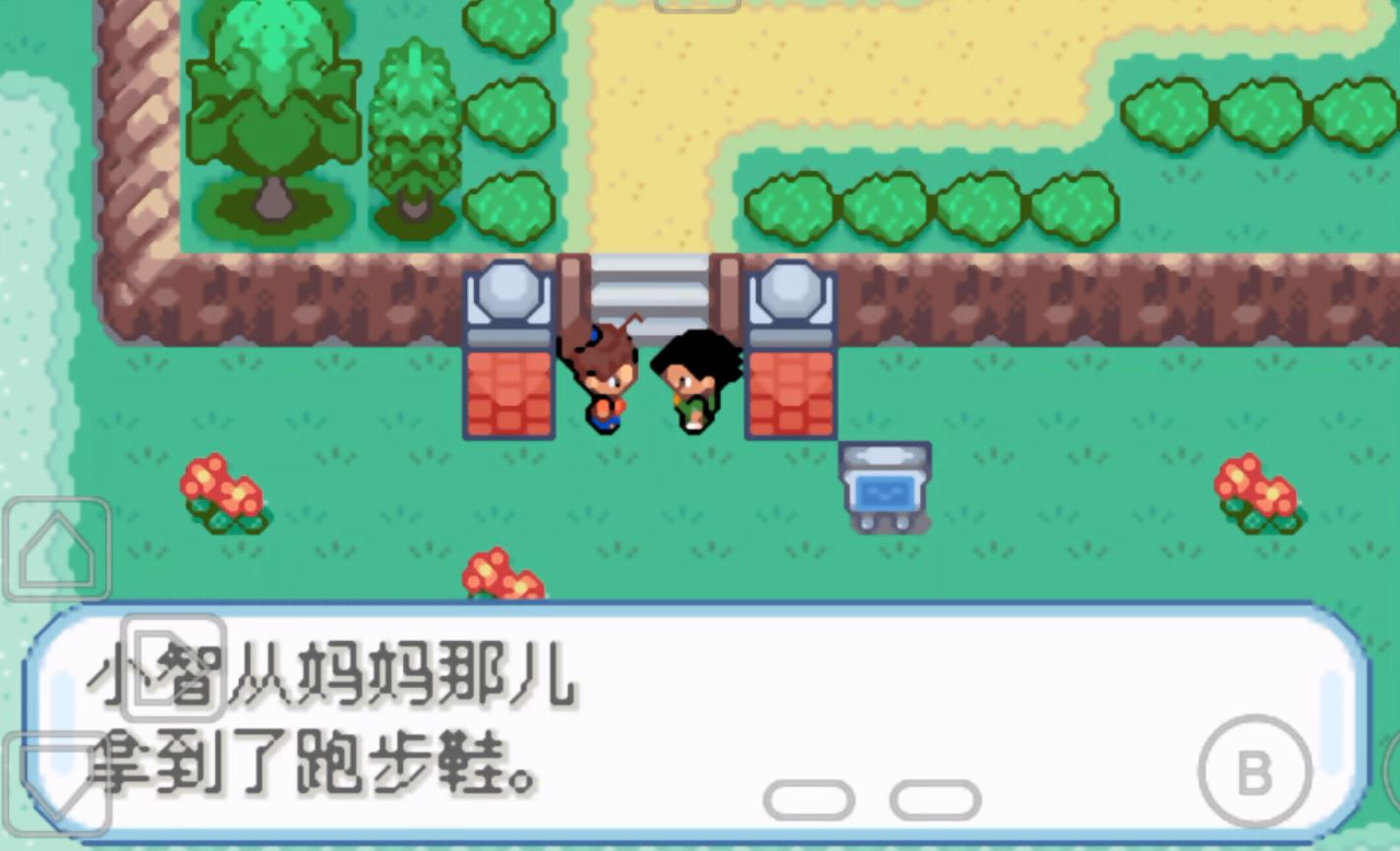 口袋妖怪圣灰汉化版