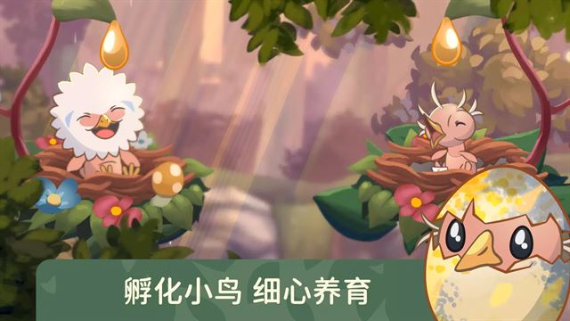 相关图片