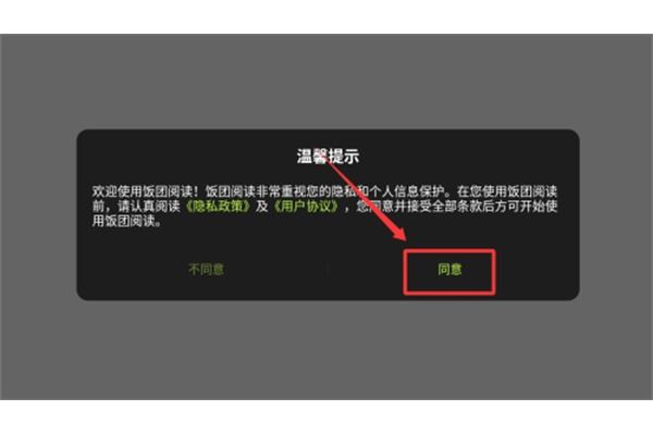 饭团阅读旧版 饭团阅读旧版