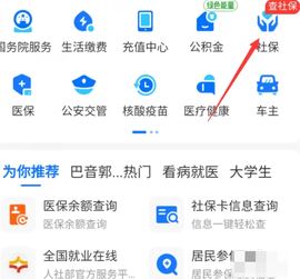 辽油社保 5.2.0 安卓版