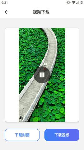 视频号下载助手 视频号下载助手