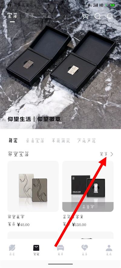 仰望汽车下载