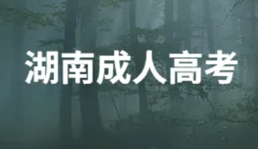 16630358984955595.png