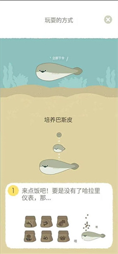 虚无鱼baspi