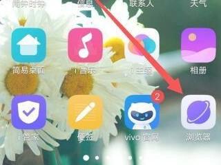 vivo浏览器