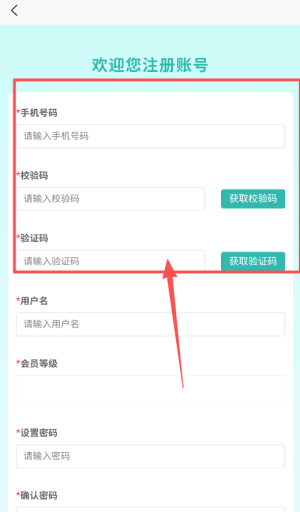 使用攻略配图4
