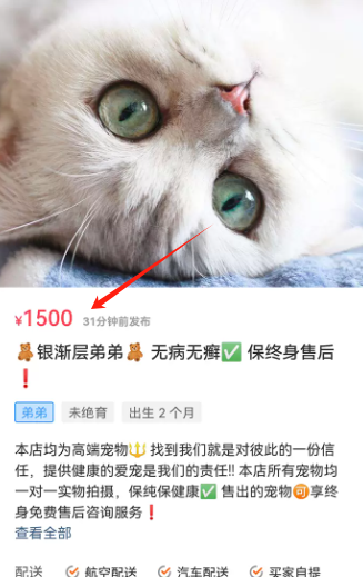 宠物宝app官方版